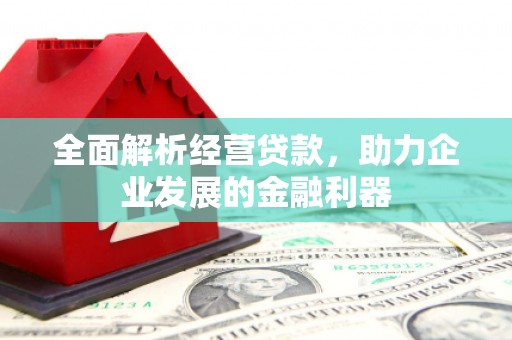 柏乡全面解析经营贷款，助力企业发展的金融利器