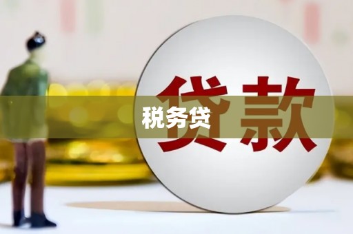 柏乡税务贷