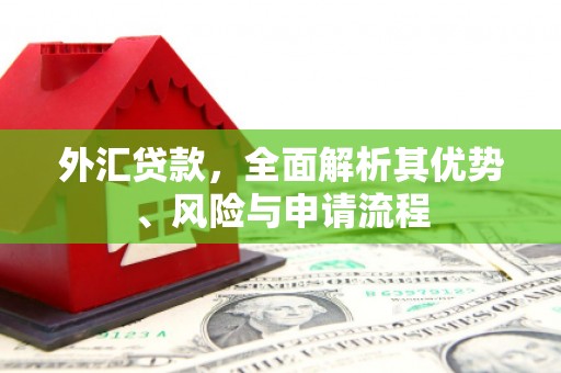 柏乡外汇贷款，全面解析其优势、风险与申请流程