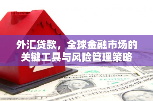 柏乡外汇贷款，全球金融市场的关键工具与风险管理策略