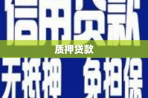 柏乡质押贷款