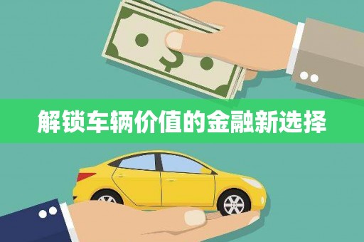 柏乡解锁车辆价值的金融新选择