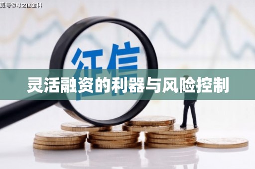 柏乡灵活融资的利器与风险控制
