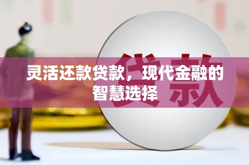 柏乡灵活还款贷款，现代金融的智慧选择