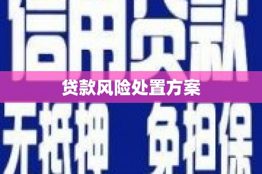 柏乡贷款风险处置方案