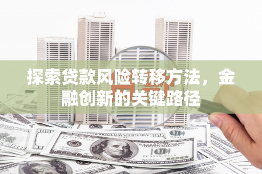 柏乡探索贷款风险转移方法，金融创新的关键路径