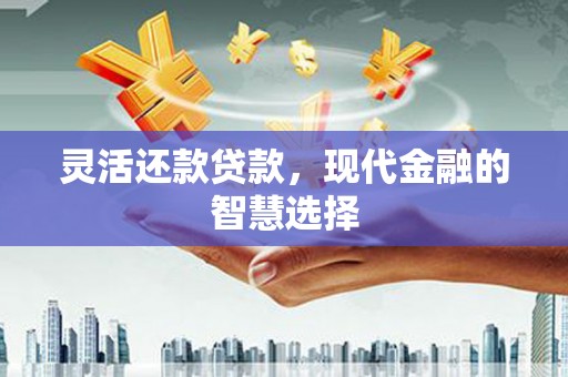 柏乡灵活还款贷款，现代金融的智慧选择