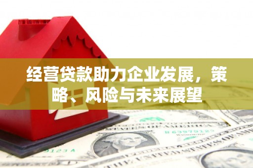 柏乡经营贷款助力企业发展，策略、风险与未来展望