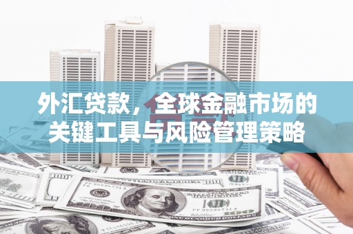 柏乡外汇贷款，全球金融市场的关键工具与风险管理策略