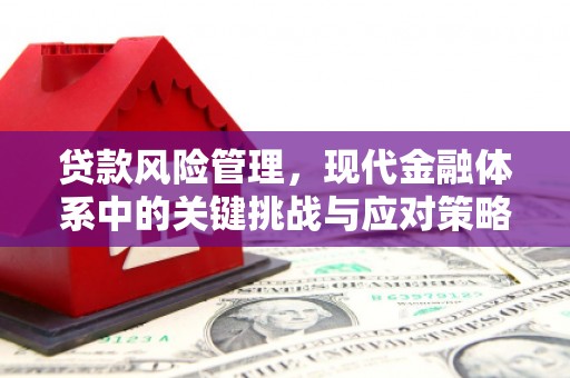 柏乡贷款风险管理，现代金融体系中的关键挑战与应对策略