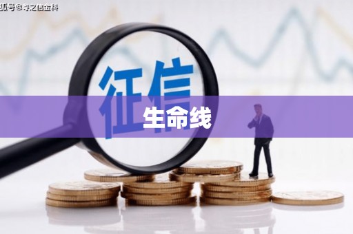 柏乡生命线