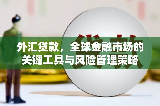 柏乡外汇贷款，全球金融市场的关键工具与风险管理策略