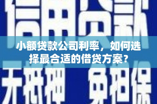 柏乡小额贷款公司利率，如何选择最合适的借贷方案？