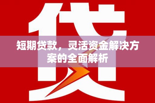 柏乡短期贷款，灵活资金解决方案的全面解析