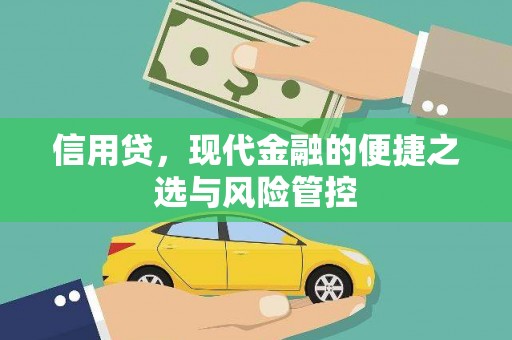 柏乡信用贷，现代金融的便捷之选与风险管控