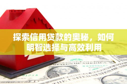 柏乡探索信用贷款的奥秘，如何明智选择与高效利用