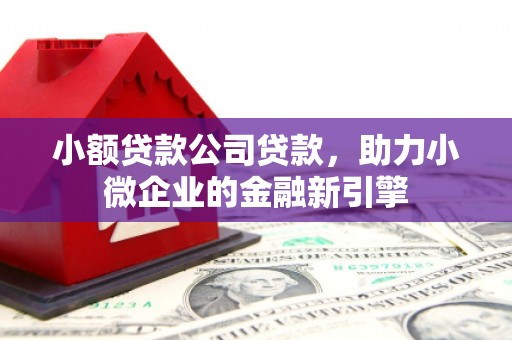 柏乡小额贷款公司贷款，助力小微企业的金融新引擎