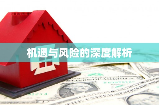 柏乡机遇与风险的深度解析