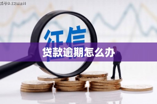 柏乡贷款逾期怎么办