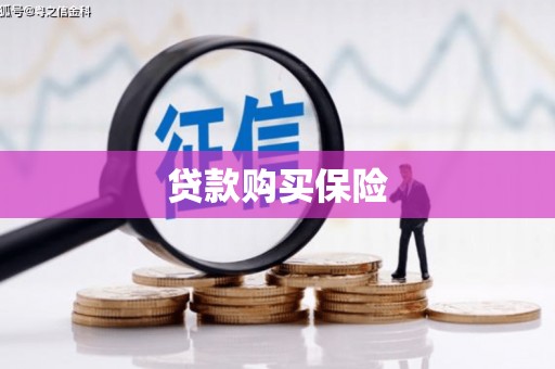 柏乡贷款购买保险