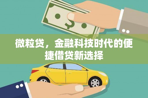 柏乡微粒贷，金融科技时代的便捷借贷新选择
