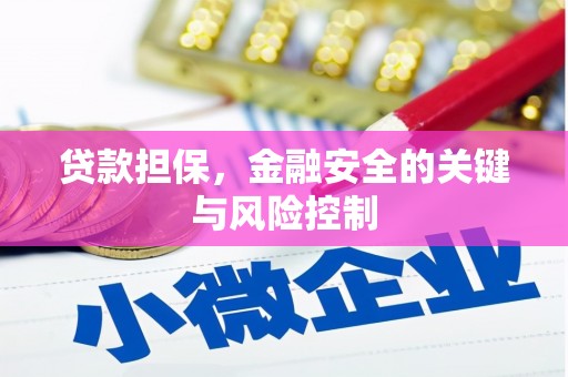 柏乡贷款担保，金融安全的关键与风险控制