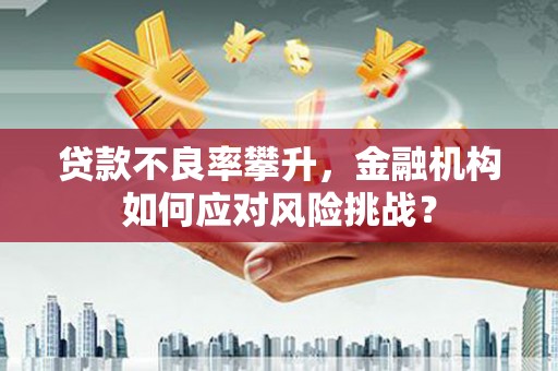 柏乡贷款不良率攀升，金融机构如何应对风险挑战？