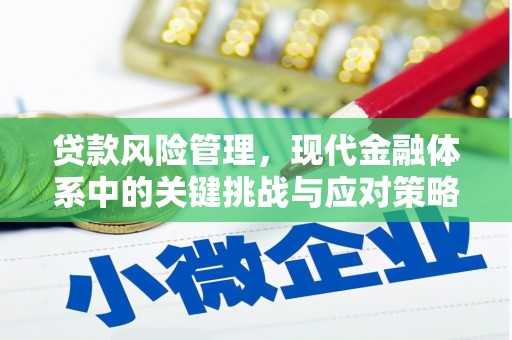 柏乡贷款风险管理，现代金融体系中的关键挑战与应对策略