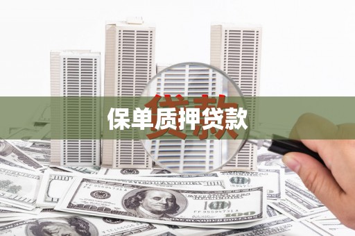 柏乡保单质押贷款