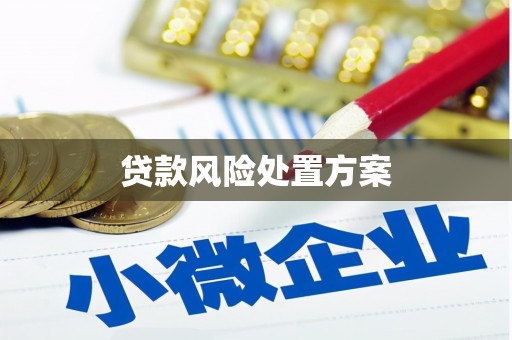 柏乡贷款风险处置方案