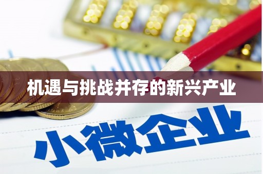 柏乡机遇与挑战并存的新兴产业