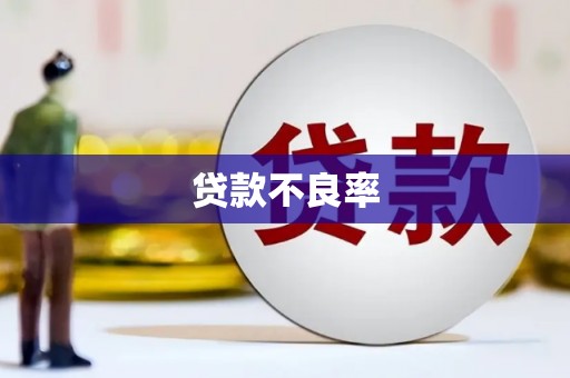 柏乡贷款不良率